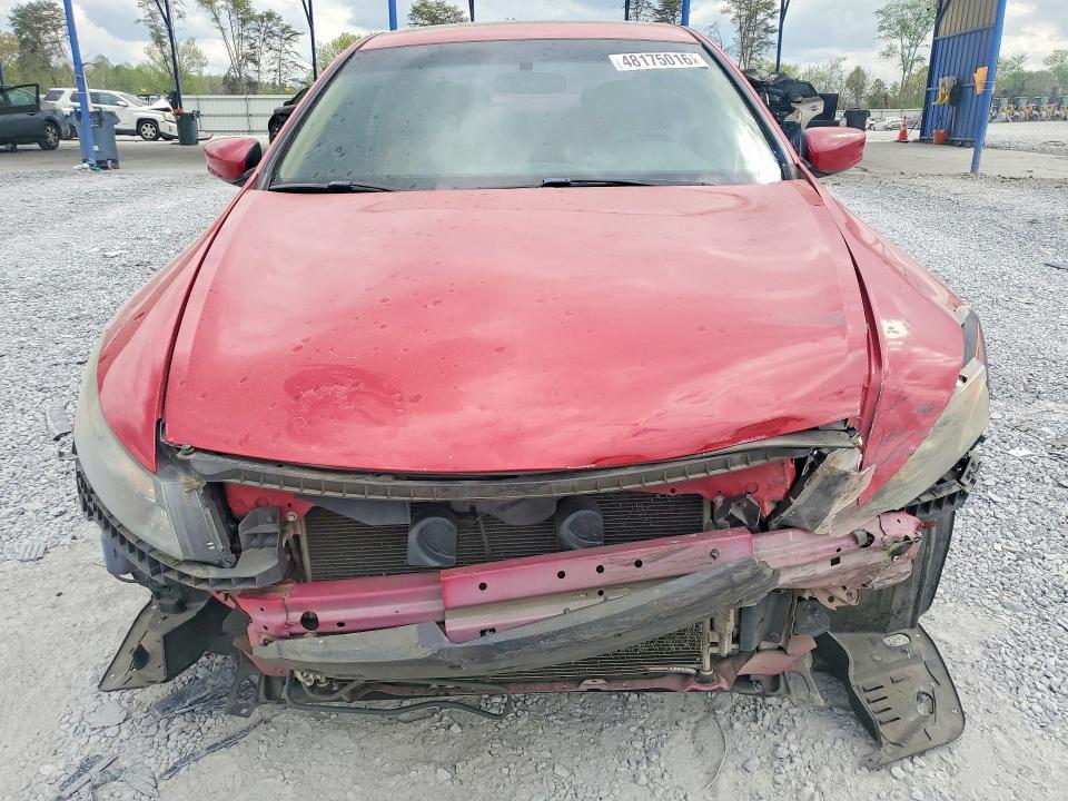 2010 Honda Accord exl