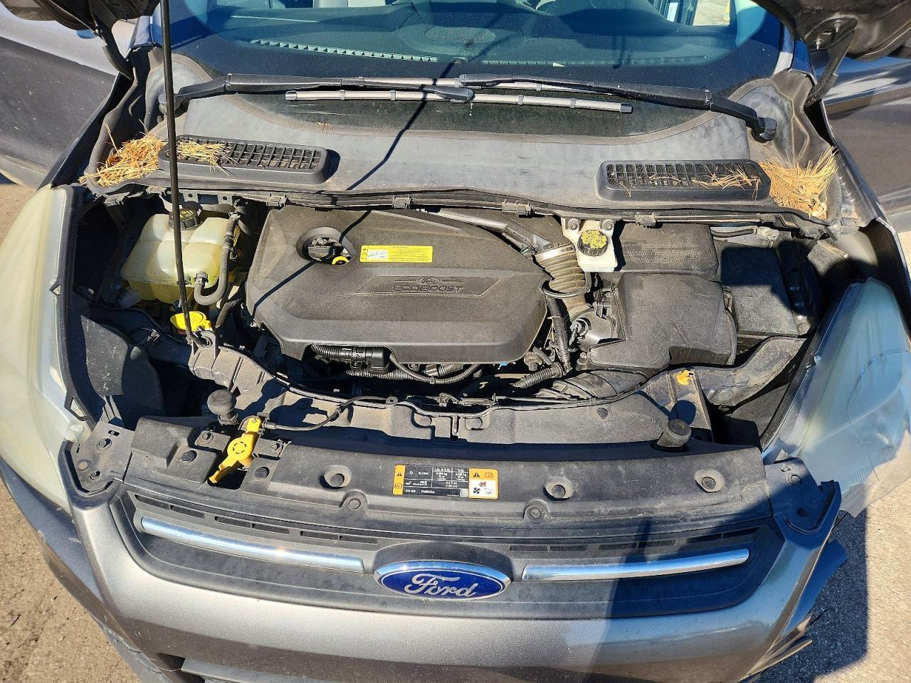 2014 Ford Escape se