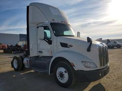 Salvage trucks for sale at Colton, CA auction: 2017 Peterbilt 579