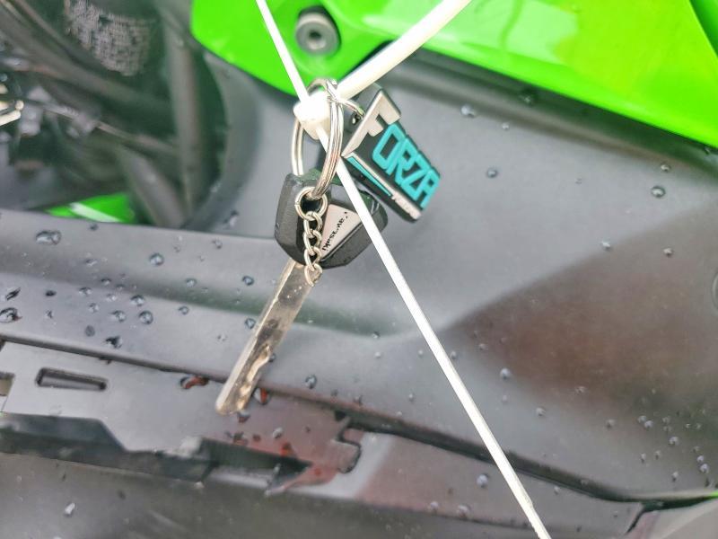 2025 Kawasaki EX650 P