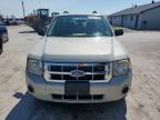 2008 Ford Escape xls