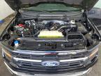 2025 Ford F150 XLT