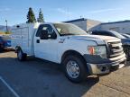 2014 Ford F150 XLT