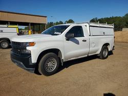 Salvage trucks for sale at Gaston, SC auction: 2019 Chevrolet Silverado C1500