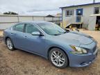 2011 Niss Maxima