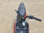 2024 TAI 2024 Zhilong Trendy Mini Tank 50