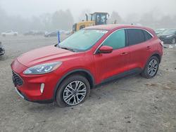 Ford Escape salvage cars for sale: 2022 Ford Escape sel
