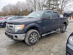 Salvage trucks for sale at North Billerica, MA auction: 2013 Ford F150 Supercrew