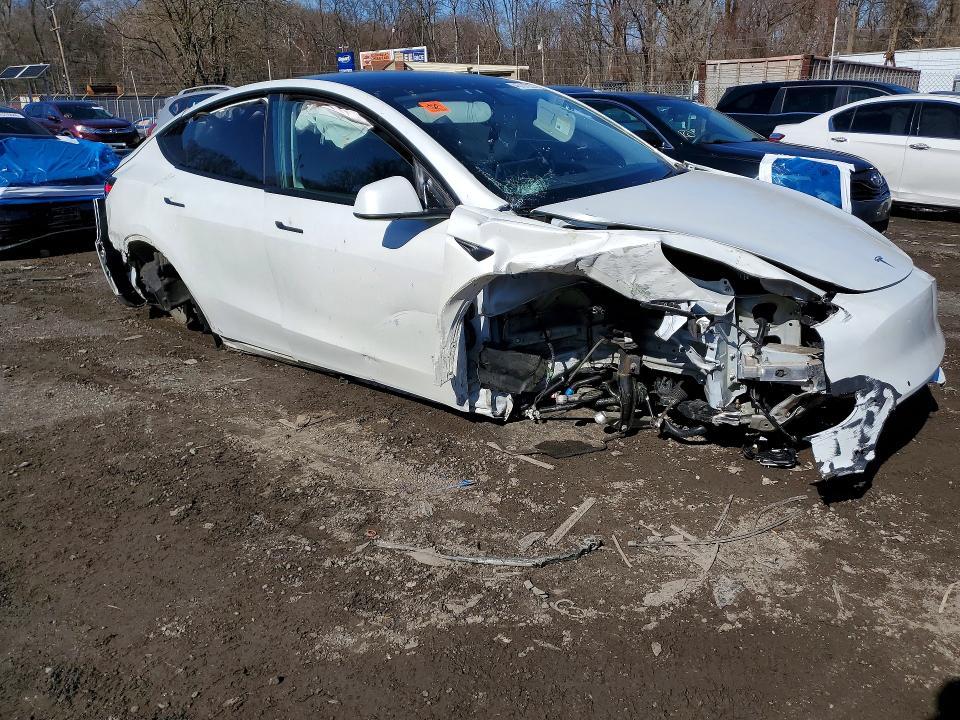 2020 Tesla Model y