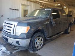Salvage trucks for sale at Ham Lake, MN auction: 2012 Ford F150 Supercrew