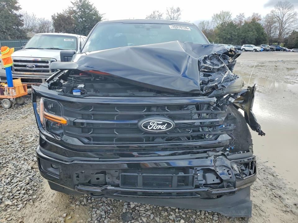 2024 Ford F150 XLT