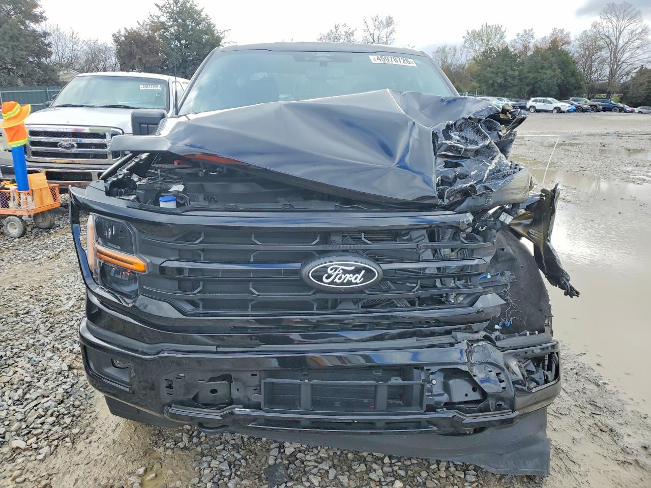 2024 Ford F150 XLT