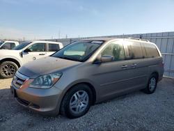 Honda Odyssey salvage cars for sale: 2007 Honda Odyssey exl