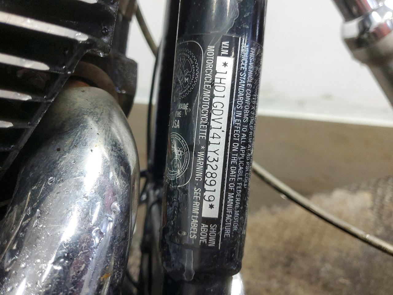 2001 Harley-Davidson Fxdl
