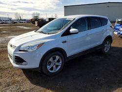 2013 Ford Escape se for sale in Rocky View County, AB