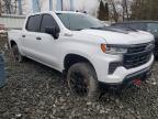 2023 Chevrolet Silverado K1500 Trail Boss Custom