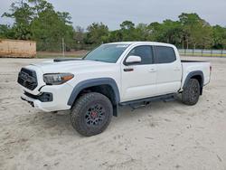 Salvage trucks for sale at Fort Pierce, FL auction: 2019 Toyota Tacoma TRD PRO