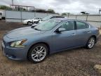 2011 Niss Maxima