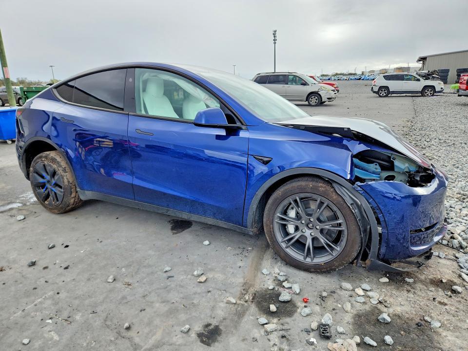 2025 Tesla Model y
