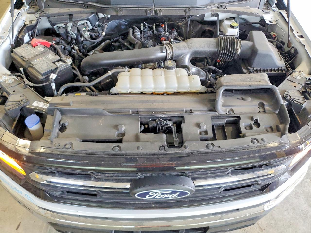 2025 Ford F150 XLT