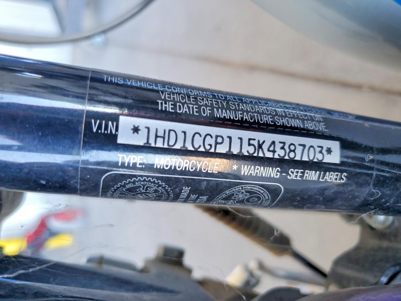 2005 Harley-Davidson XL1200 C