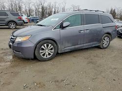 Honda salvage cars for sale: 2016 Honda Odyssey exl