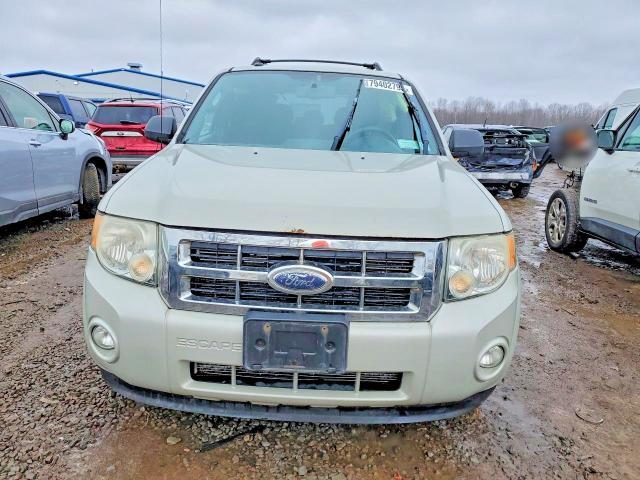 2009 Ford Escape xlt