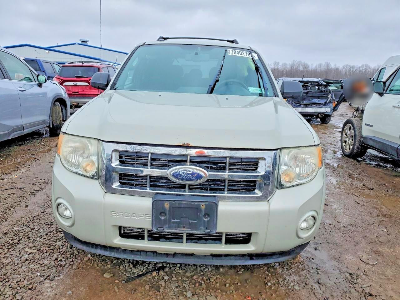 2009 Ford Escape xlt