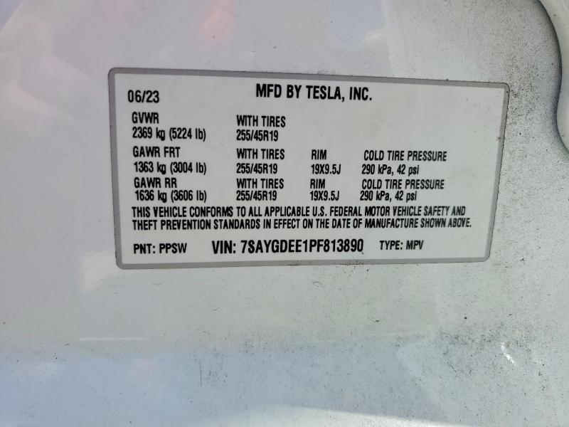 2023 Tesla Model y