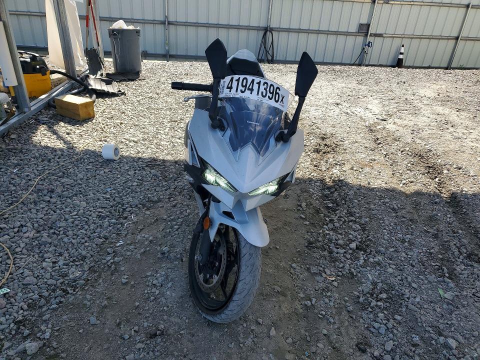 2025 Kawasaki EX500 H