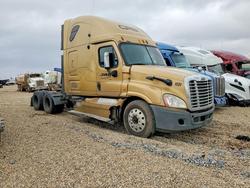 Salvage trucks for sale at Amarillo, TX auction: 2013 Freigliner 2013 Freightliner Cascadia Semi Truck