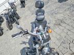 2006 Harley-Davidson Fxstdi