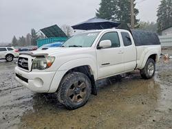 Salvage trucks for sale at Spanaway, WA auction: 2009 Toyota Tacoma V6