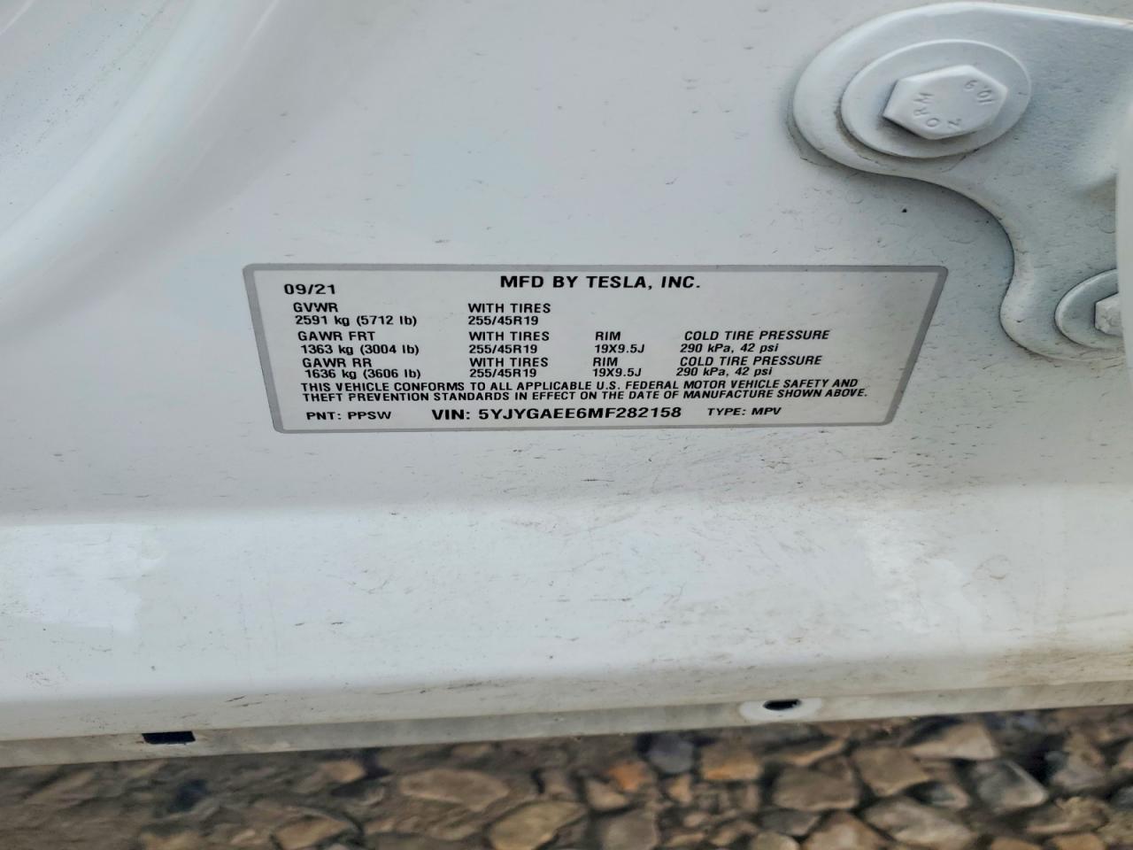 2021 Tesla Model y