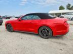 2023 Ford Mustang