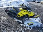 2020 Other Automobile Snowmobile