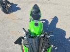 2024 Kawasaki EX500 H