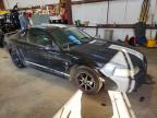 2003 Ford Mustang