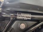 2023 Honda Rebel