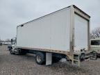 2019 International MV607 Refrigerated BOX Truck