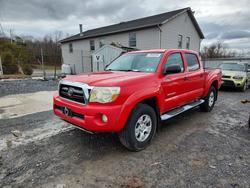 Camiones con verificación Run & Drive a la venta en subasta: 2008 Toyota Tacoma V6