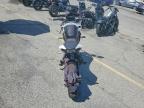 2024 Cf Moto 300NK