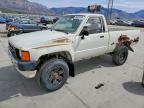 1986 Toyota Pickup Base