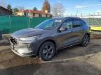 2024 Ford Escape st Line