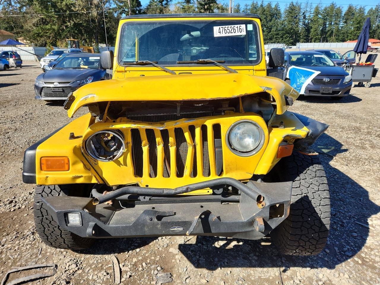 2004 Jeep Wrangler / tj se