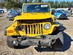 2004 Jeep Wrangler / tj se
