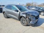 2024 Ford Escape Phev