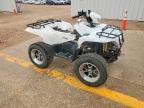 2011 Other 2011 Suzuki ATV