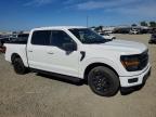 2024 Ford F150 XLT