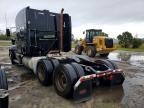 2013 Peterbilt 386-Semi Truck